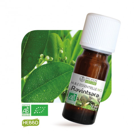 Ravintsara BIO - Huile Essentielle - 10 ml - Herboristerie du docteur sammut