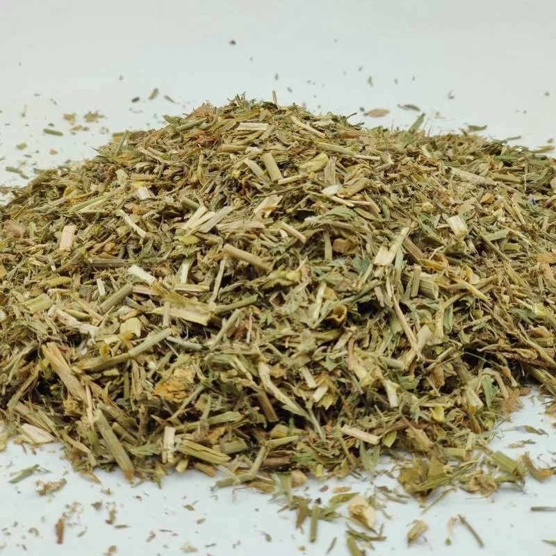 Galega – Plante en vrac – Herboristerie du Dr. Sammut