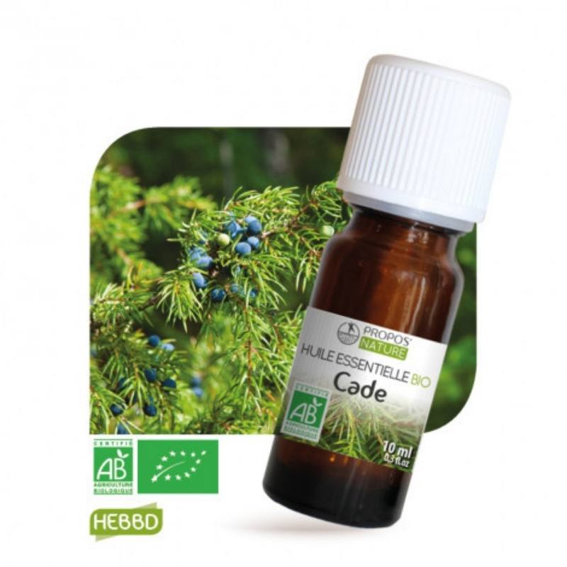 Tea tree - Arbre à Thé BIO - Huile Essentielle - 10 ml - Herboristerie du  docteur sammut
