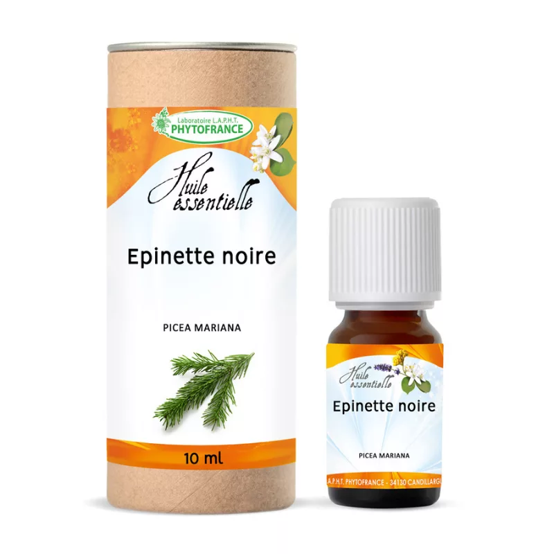 Huile Essentielle d'Epinette Noire BIO | Herboristerie Sammut