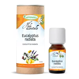 Eucalyptus radié BIO - Huile Essentielle - 10 ml