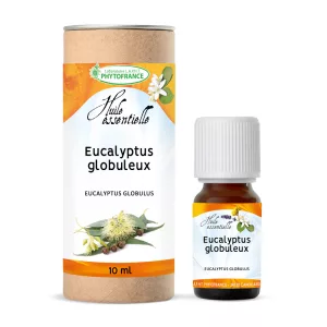 Eucalyptus globulus BIO - Huile Essentielle - 10 ml
