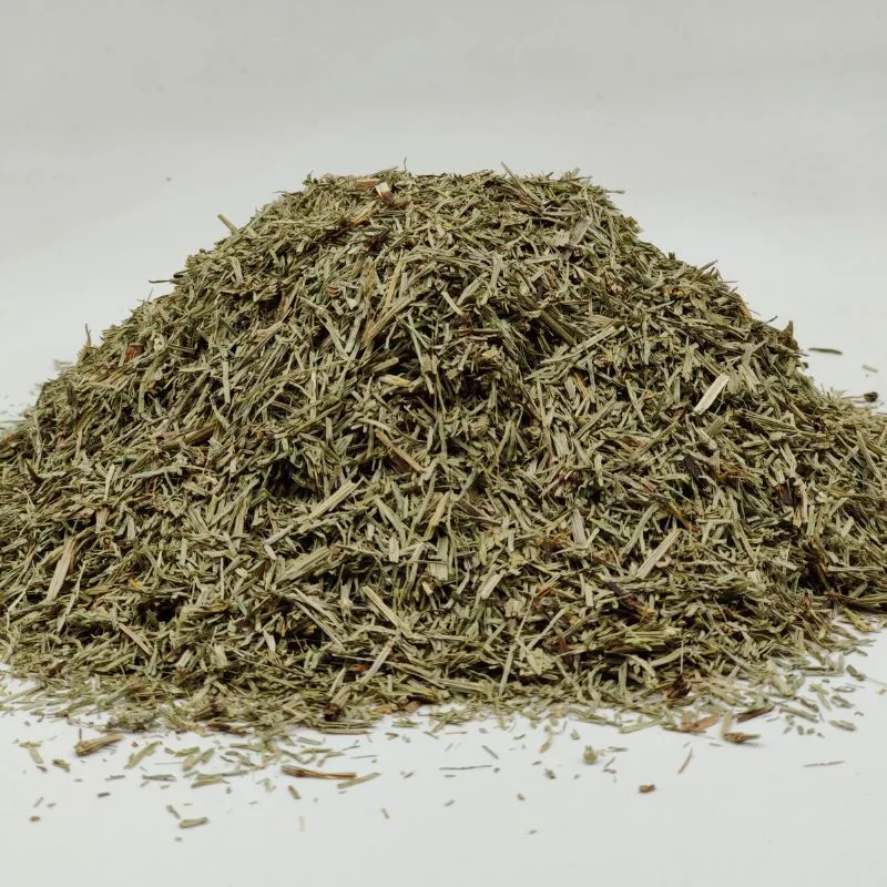 Prêle BIO – Plante en vrac – Herboristerie du Dr. Sammut