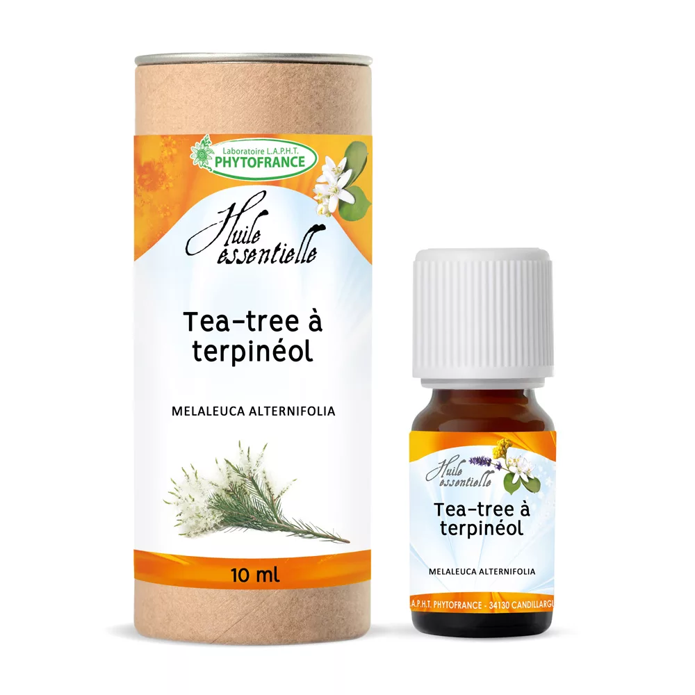 Tea tree – Arbre à Thé BIO – Huile Essentielle – 10 ml