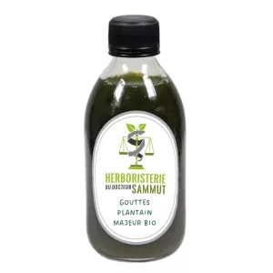 Plantain Majeur BIO - Gouttes Herboristerie du Dr. Sammut