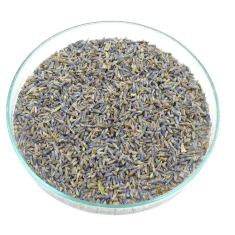 Lavande fleur BIO – Plante en vrac – Herboristerie du Dr. Sammut