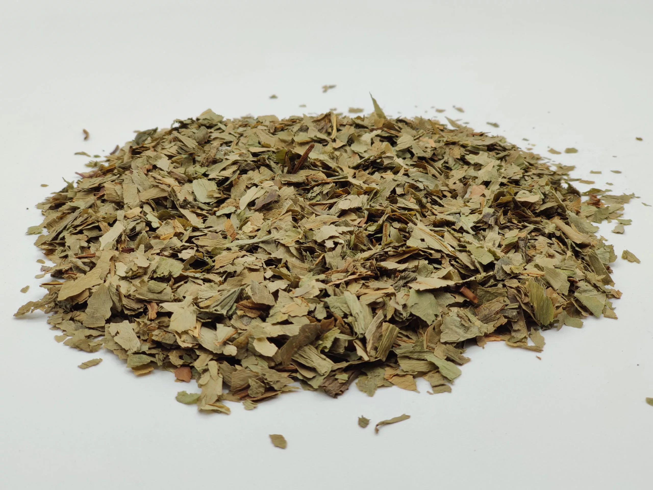 Ail des ours BIO – plante en vrac – Herboristerie du Dr. Sammut