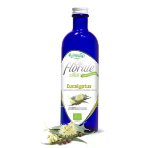 Eucalyptus BIO – Hydrolat - 200 ml