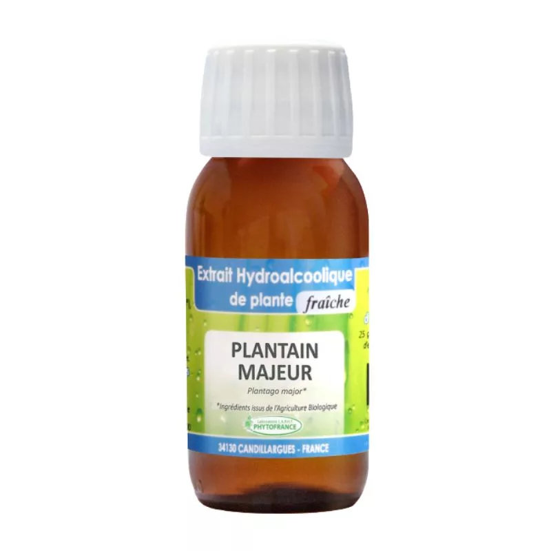 Plantain Majeur – Teinture Mère – 60 ml