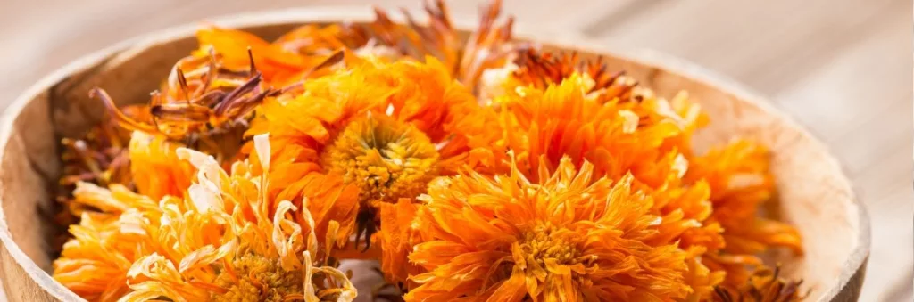 Fleurs de camomille utilisées pour un masque naturel apaisant pour peaux sensibles