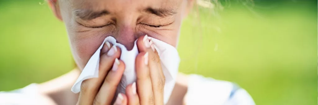 Plantes naturelles utilisées pour prévenir les allergies au pollen dès le printemps