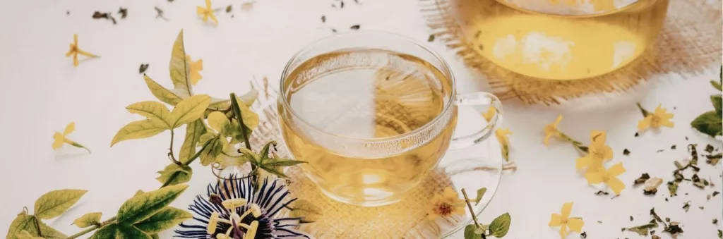 Tisanes dépuratives à base de plantes pour une détox naturelle au printemps