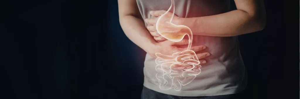 Plantes digestives naturelles pour soulager les ballonnements et améliorer la digestion