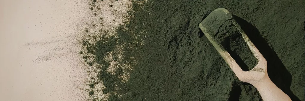 Spiruline naturelle utilisée au printemps pour retrouver énergie et vitalité
