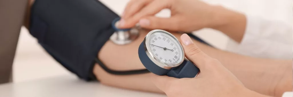 Plantes médicinales utilisées pour soutenir naturellement la santé cardiovasculaire et la tension artérielle