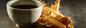 Ginseng et rhodiola, deux plantes traditionnellement utilisées pour soutenir l'organisme face au stress et à la fatigue