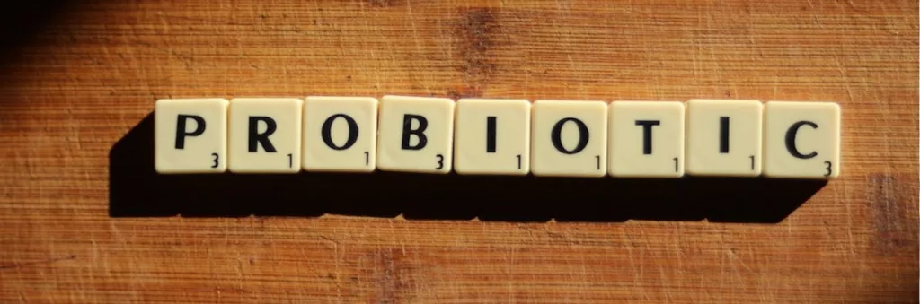 Probiotiques naturels pour soutenir l’équilibre du microbiote intestinal et le confort digestif