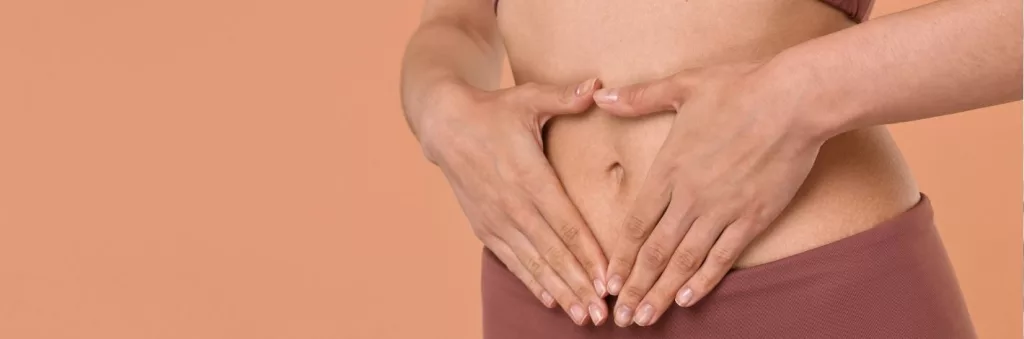 Plantes traditionnellement utilisées pour favoriser la digestion et le confort digestif